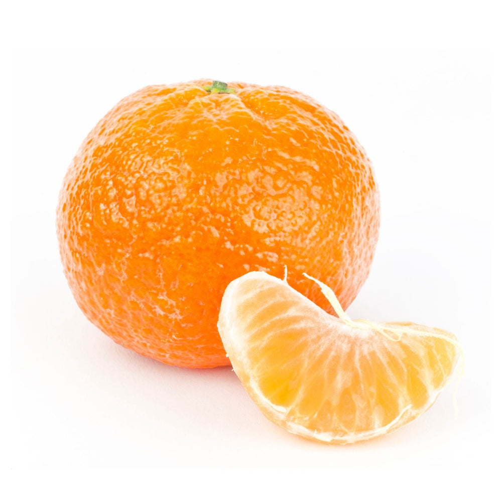Satsuma - Owari