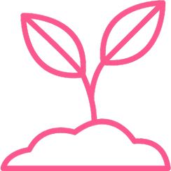 Germination Icon