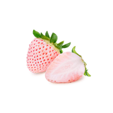 Strawberry - Peachberry | Exotic Fruits - Rare & Tropical Exotic Fruit Shop UK