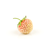 Strawberry - Pineberry | Exotic Fruits - Rare & Tropical Exotic Fruit Shop UK