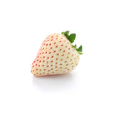 Strawberry - Whiteberry | Exotic Fruits - Rare & Tropical Exotic Fruit Shop UK