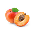 Apricot - Wonder Cot