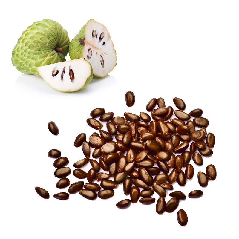 Custard Apple - Atemoya Seeds