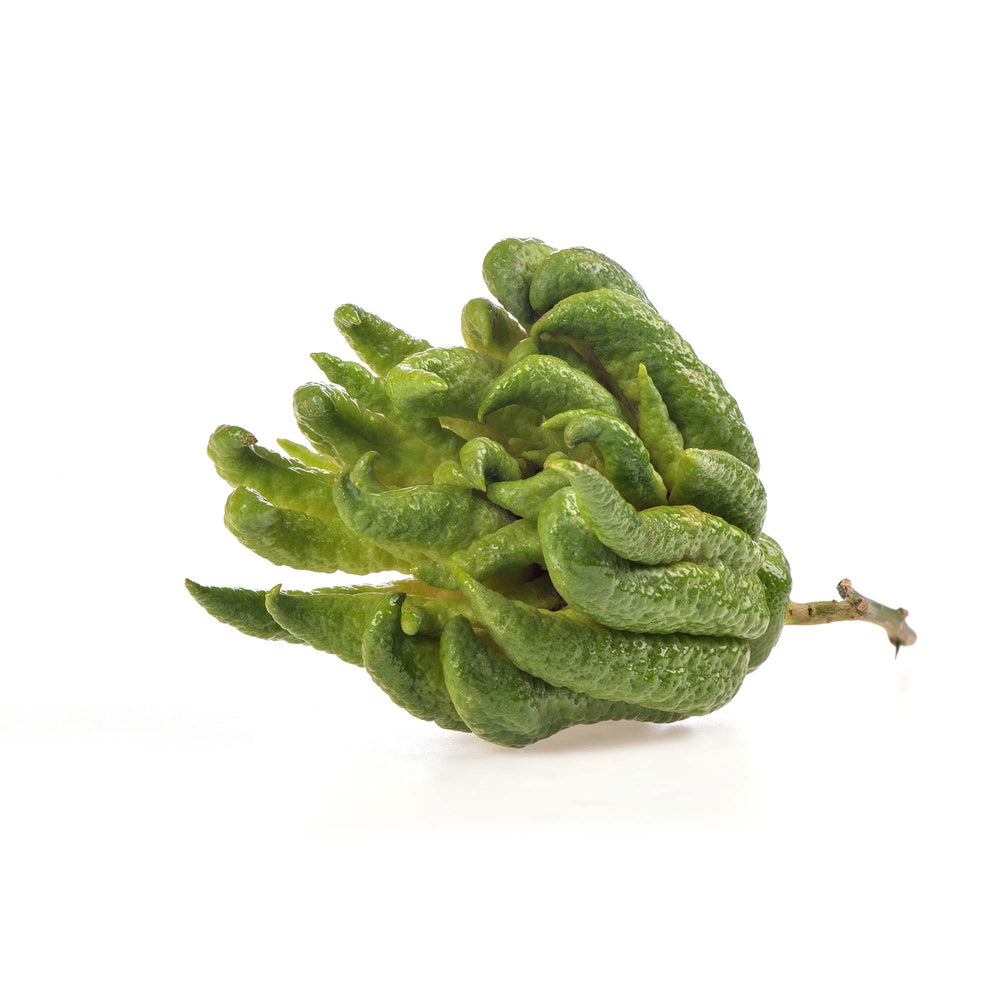Buddha's Hand