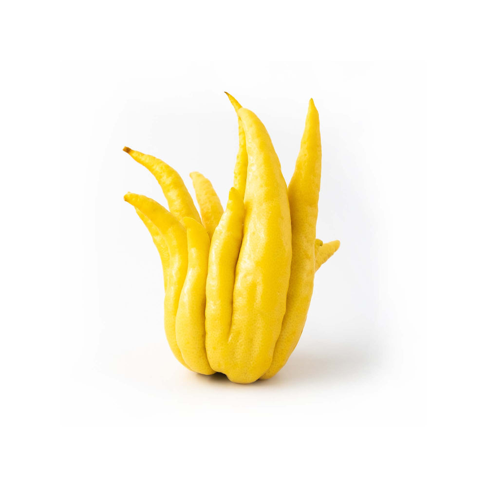Buddha's Hand