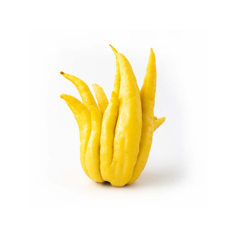 Buddha's Hand