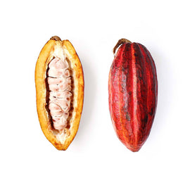 Cacao Bean / Pod