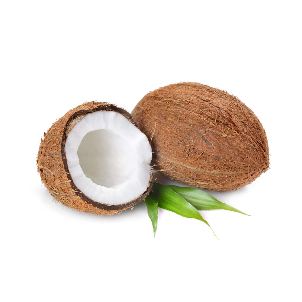 Coconut