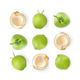 Coconut - Young / Jelly Nut