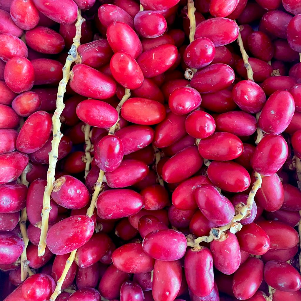 Red Ripe Dates Fresh Red Dates