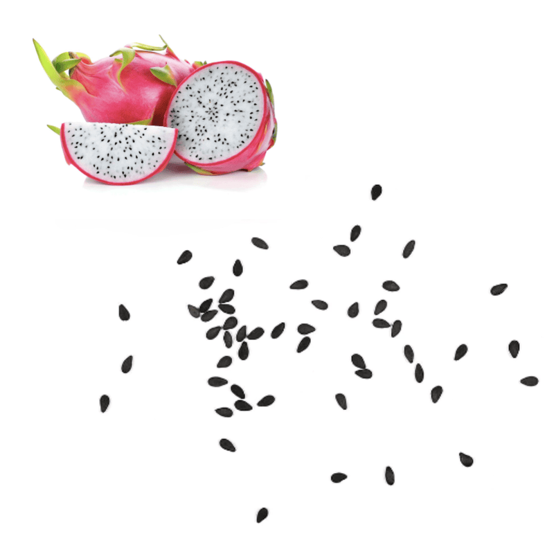Dragon Fruit - White Seeds