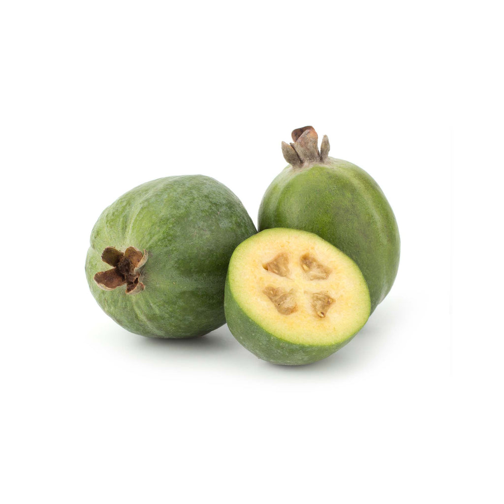 Feijoa For Sale