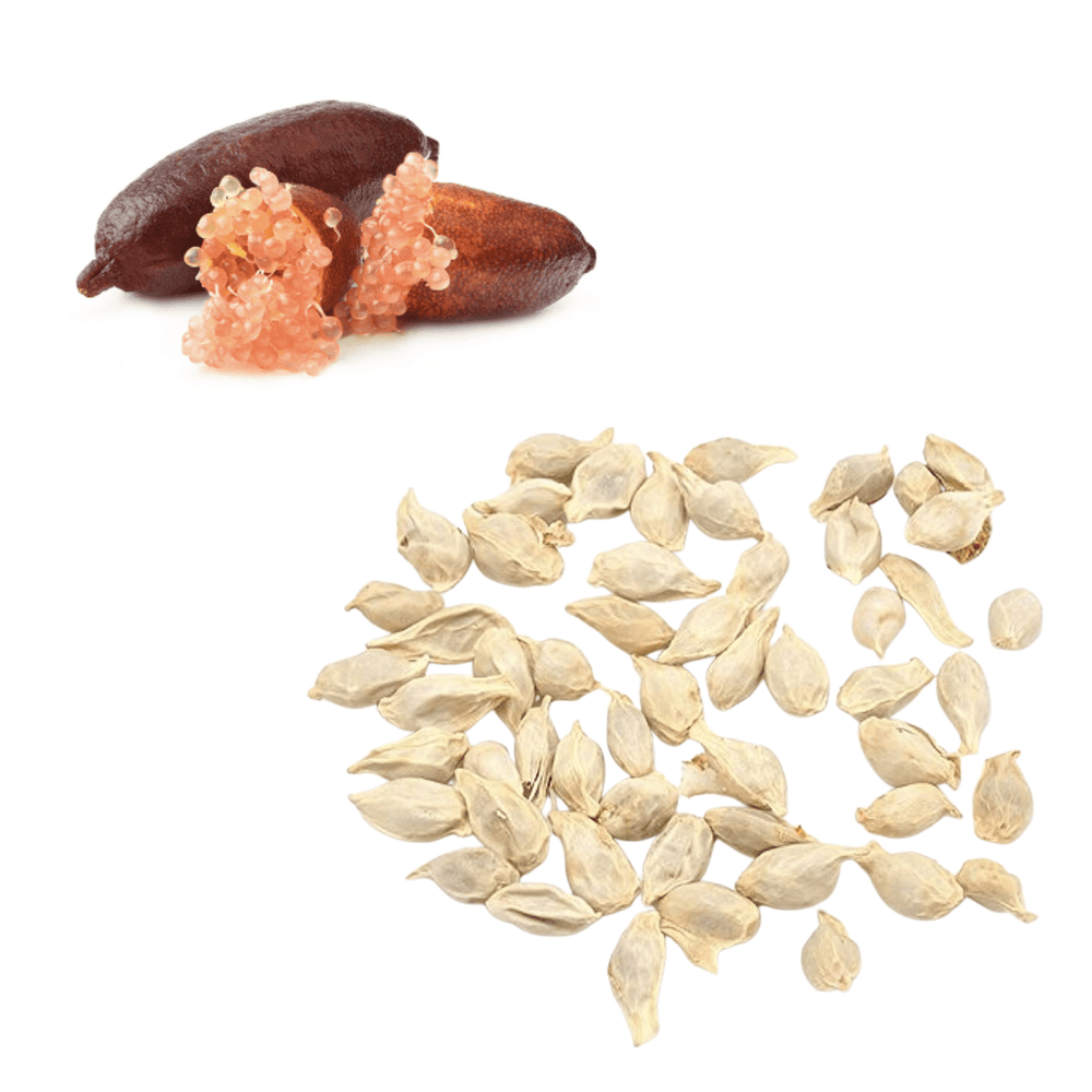 Lime - Finger / Caviar - Pink Seeds