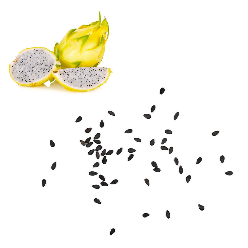 Dragon Fruit - Golden Seeds