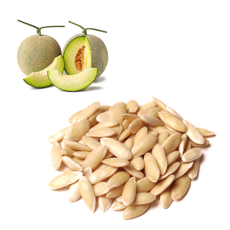 Melon - Golden Green Seeds