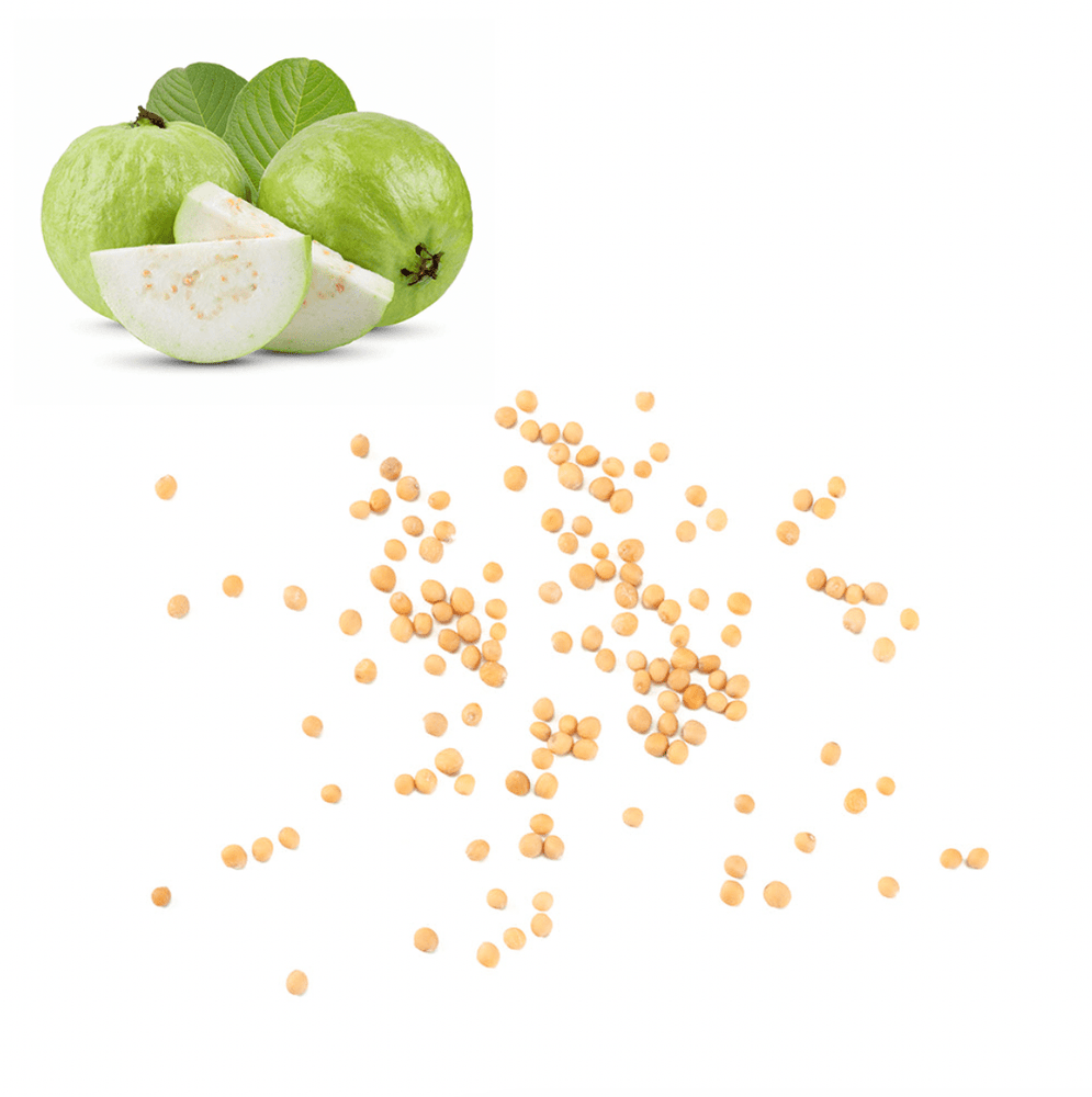 Guava - White Seeds