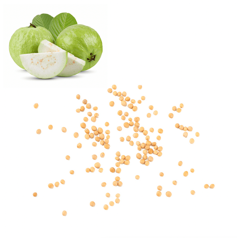Guava - White Seeds