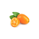 Kumquat | Exotic Fruits - Rare & Tropical Exotic Fruit Shop UK