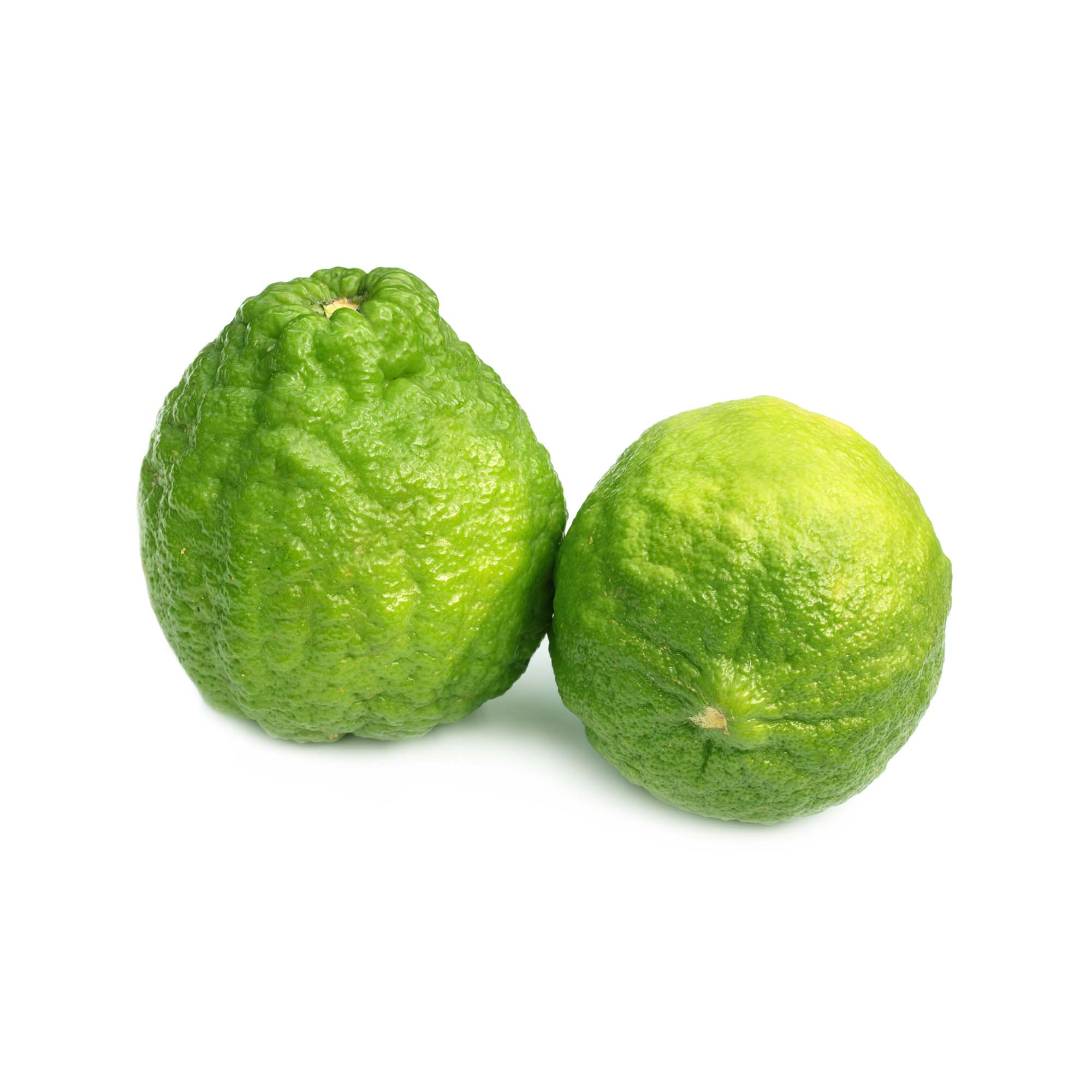 Lemon - Jara / Bangladeshi | Exotic Fruits - Rare & Tropical Exotic Fruit Shop UK
