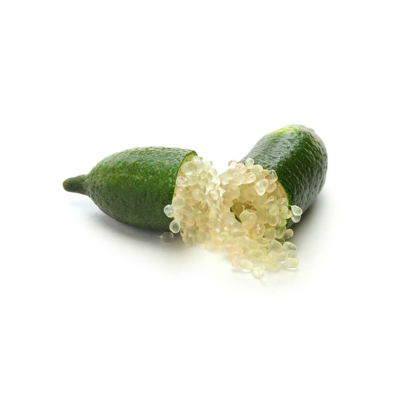 Lime - Finger / Caviar - Tasty Green