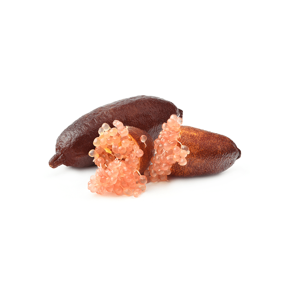 Lime - Finger / Caviar - Pink Champagne