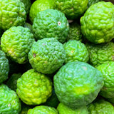 Lime - Kaffir / Makrut | Exotic Fruits - Rare & Tropical Exotic Fruit Shop UK