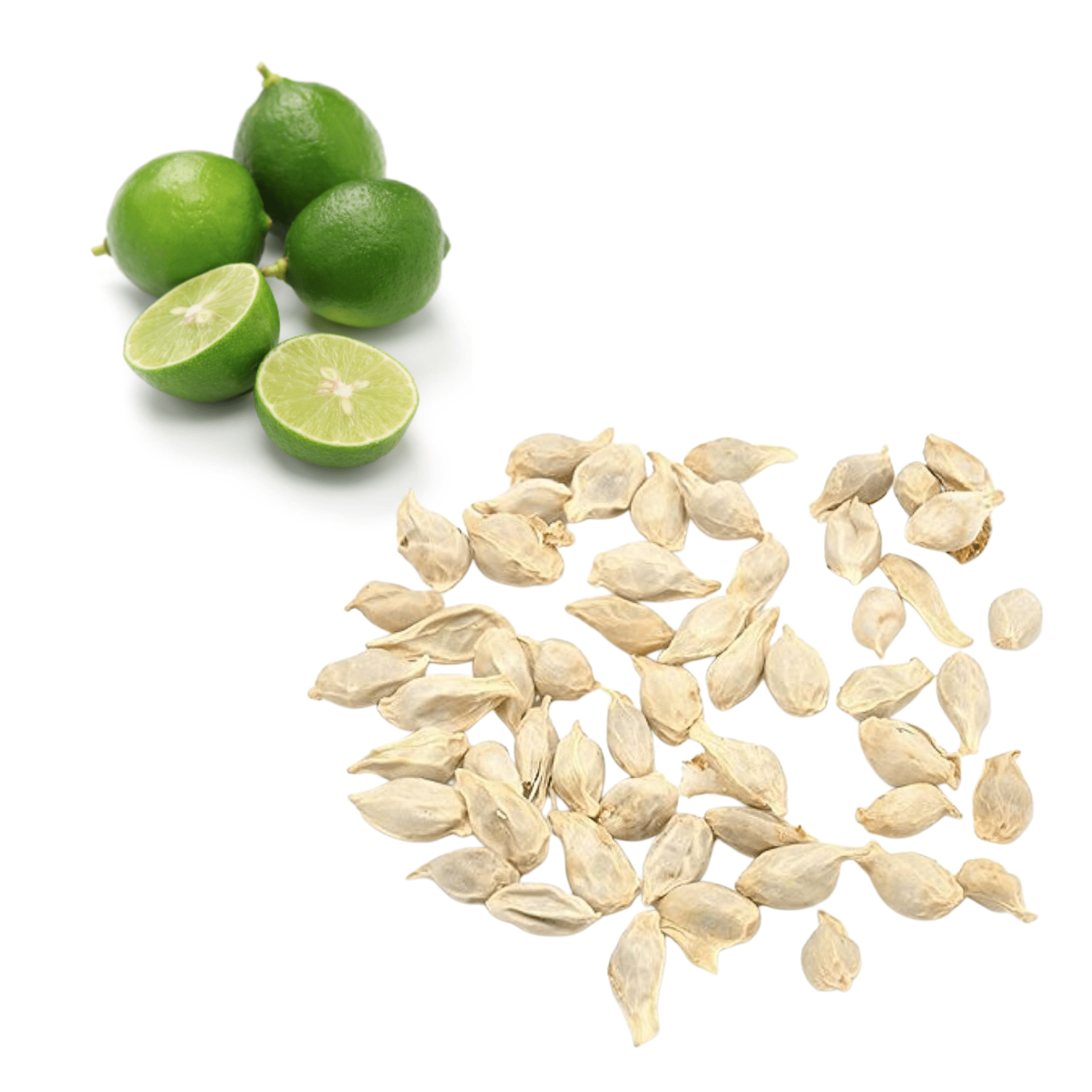 Lime - Key Seeds | Exotic Fruits - Rare & Tropical Exotic Fruit Shop UK