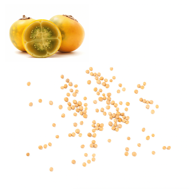 Lulo Seeds