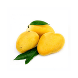 Mango - Badami