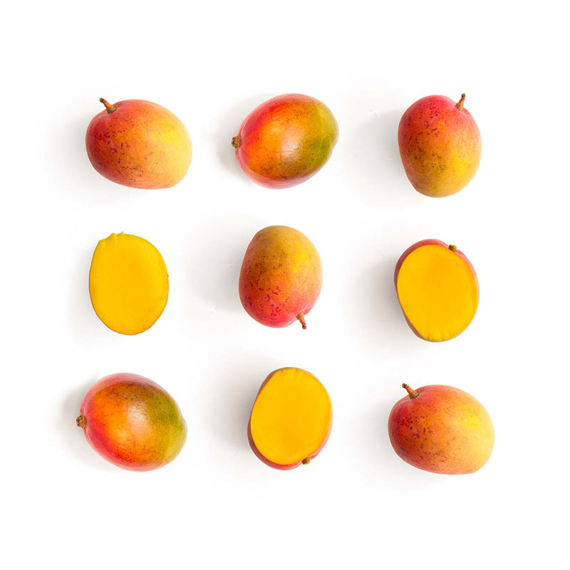 Mango - Tommy