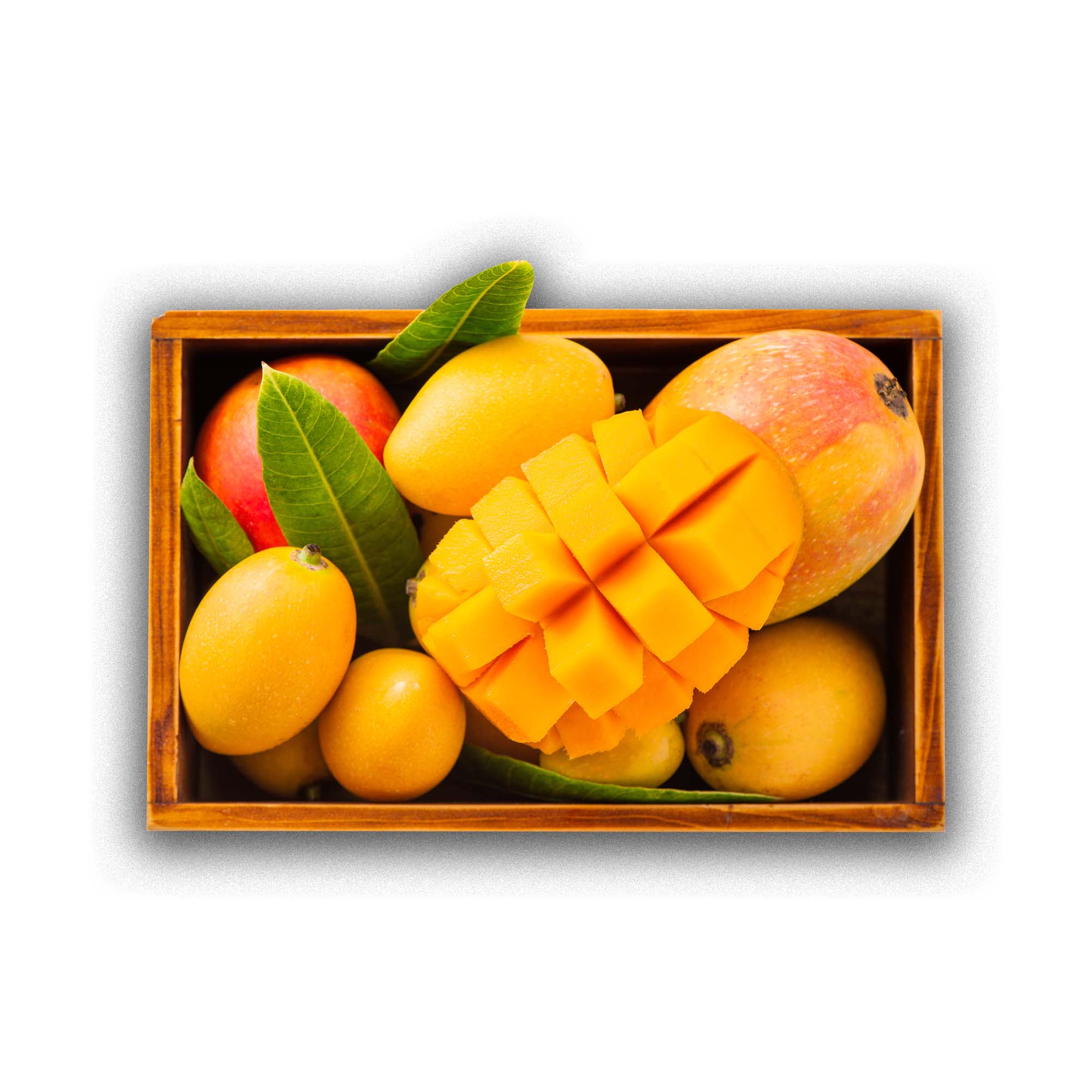 Mango Selection Box | Exotic Fruits - Rare & Tropical Exotic Fruit Shop UK