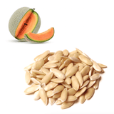 Melon - Cantaloupe Seeds
