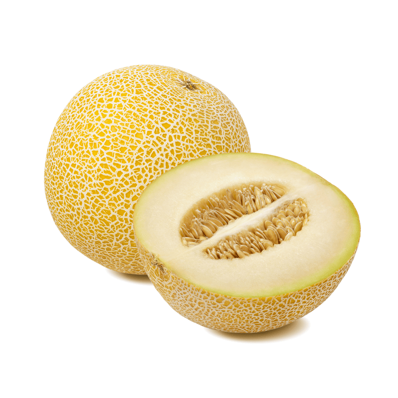 Melon - Galia