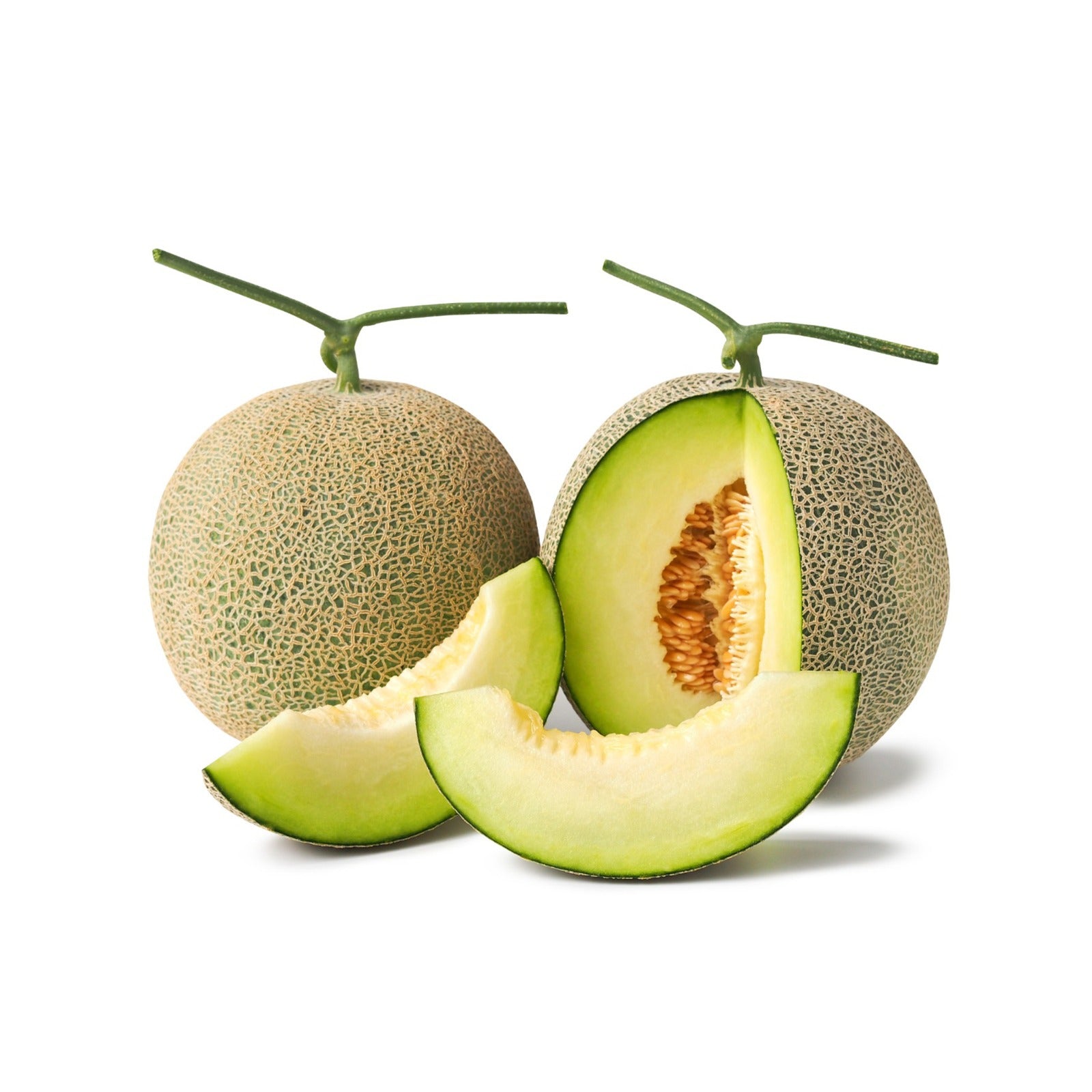 Melon - Rock Green Cantaloupe | Exotic Fruits - Rare & Tropical Exotic Fruit Shop UK