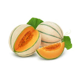 Melon - Rock Orange Cantaloupe | Exotic Fruits - Rare & Tropical Exotic Fruit Shop UK