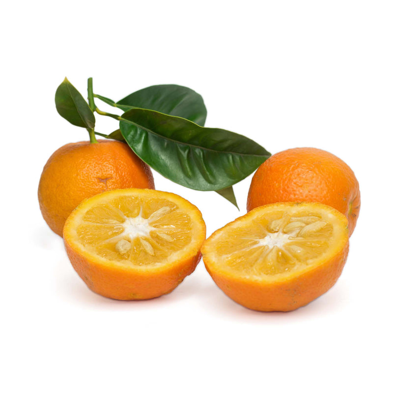 Orange - Bitter