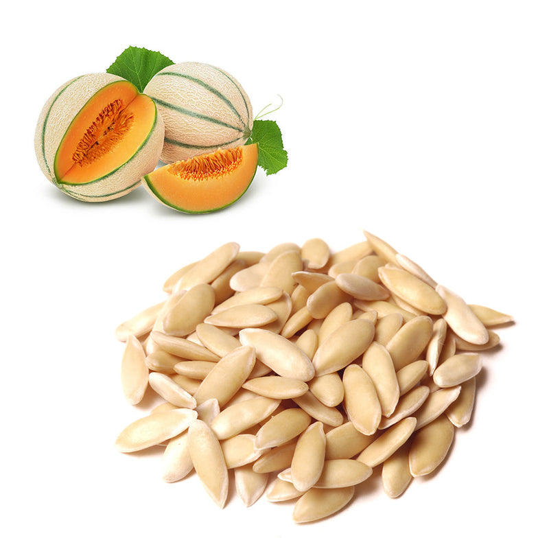 Melon - Orange Rock Seeds