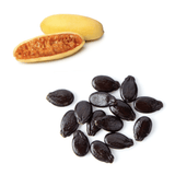 Passionfruit - Banana / Curuba Seeds