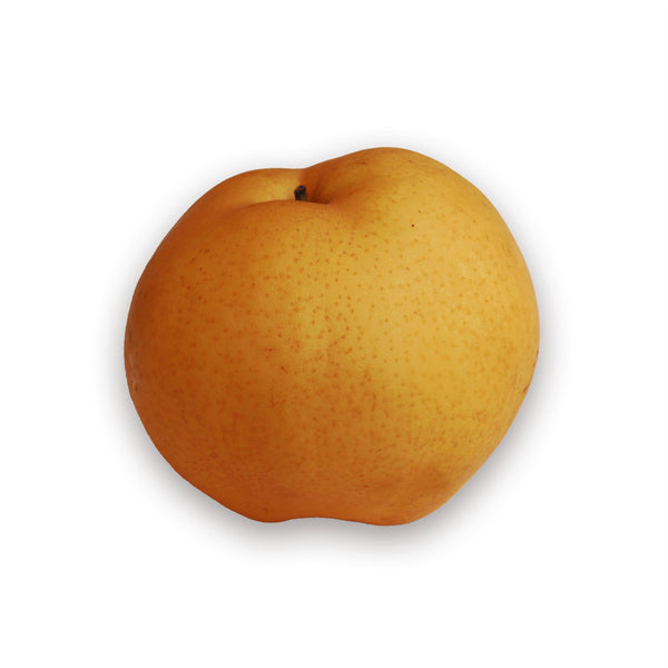 Buy Singo Pear Online Now - Rare Exotic Fruit, UK Delivery – Exotic Fruits