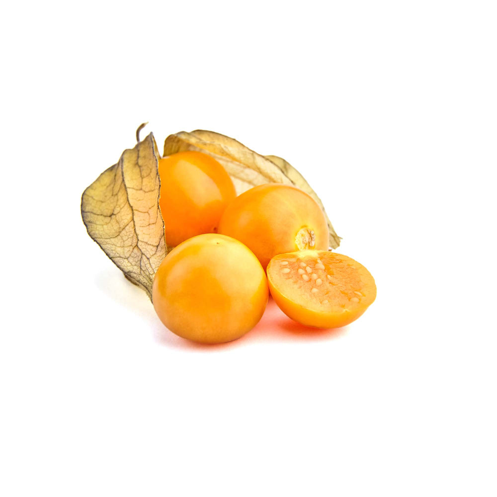 Physalis