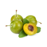 Plum - Green | Exotic Fruits - Rare & Tropical Exotic Fruit Shop UK