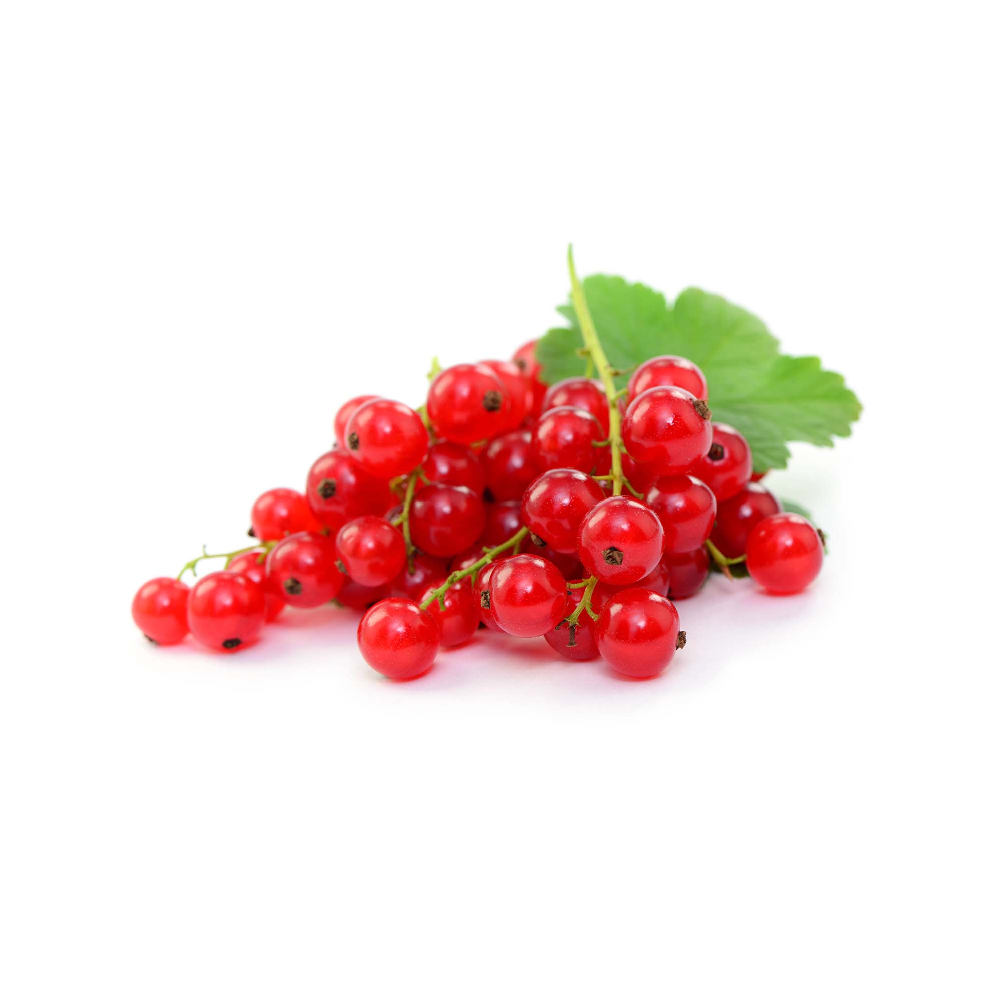 Red Currant | Exotic Fruits - Rare & Tropical Exotic Fruit Shop UK