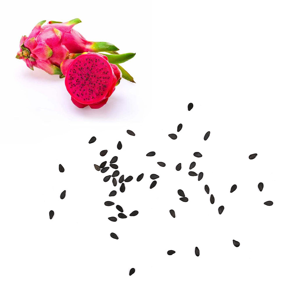 Dragon Fruit - Red Seeds