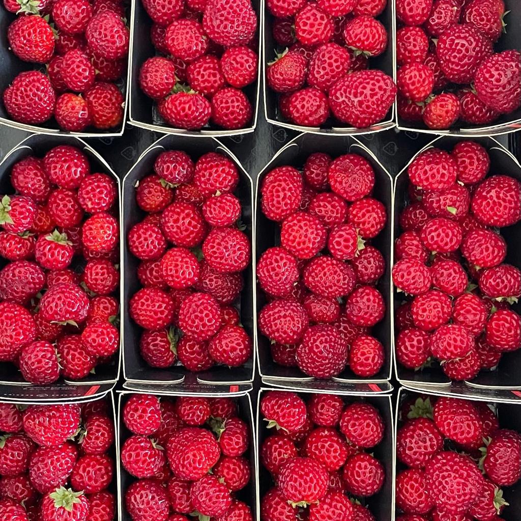Strasberry | Exotic Fruits - Rare & Tropical Exotic Fruit Shop UK