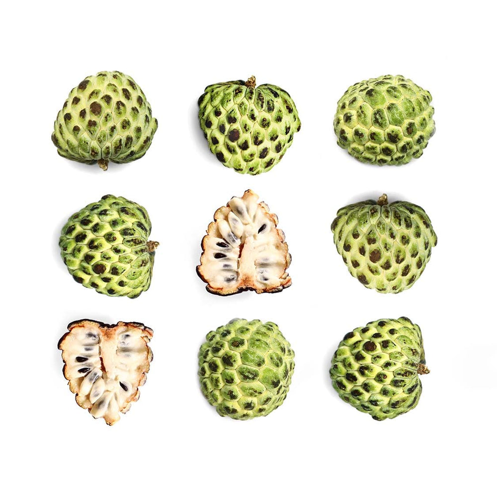 Sugar Apple / Sweetsop