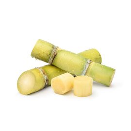 Sugar Cane - Green