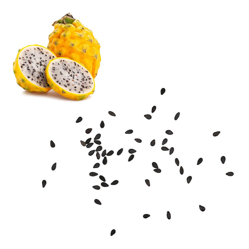 Dragon Fruit - Yellow Pitahaya Seeds