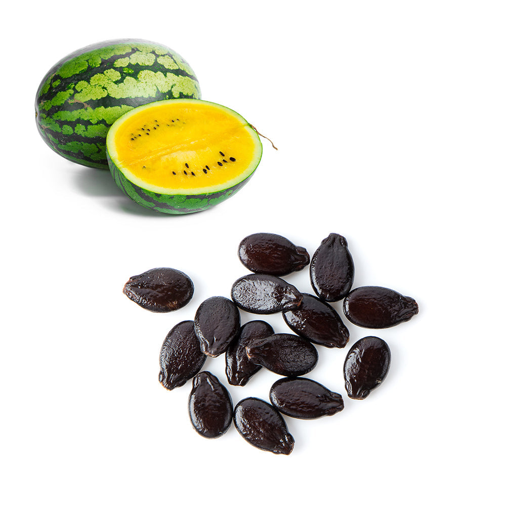 Yellow Watermelon Seeds | Exotic Fruits - Rare & Tropical Exotic Fruit Shop UK