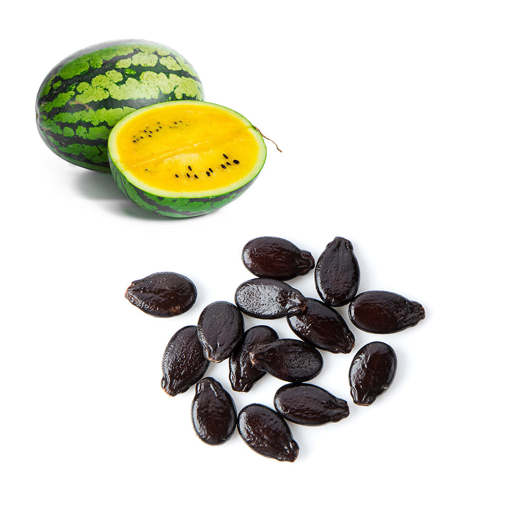 Melon - Watermelon Yellow Seeds